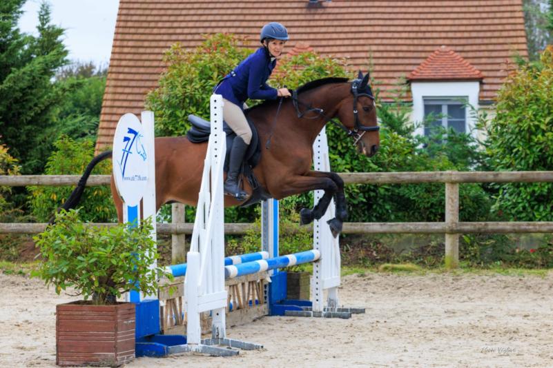 découvrez notre pension pour chevaux offrant une thérapie innovante, alliant soin personnalisé et bien-être optimal pour votre compagnon équin.