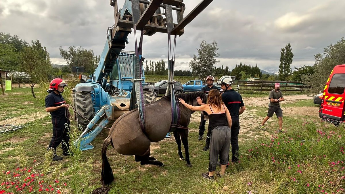 découvrez comment gérer la peur et le traumatisme après la perte de chevaux dans l’aude, avec des conseils pour surmonter ce moment difficile.