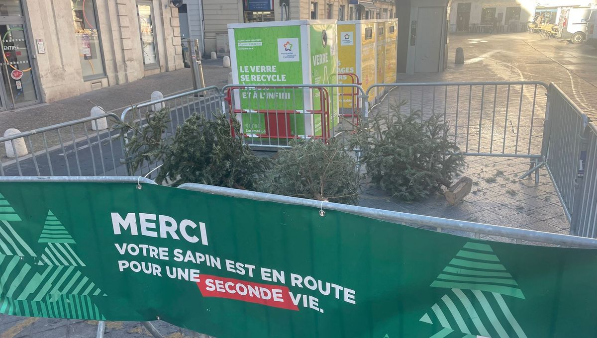 découvrez comment la pub animée d'intermarché séduit le public malgré les controverses liées à l'intelligence artificielle.