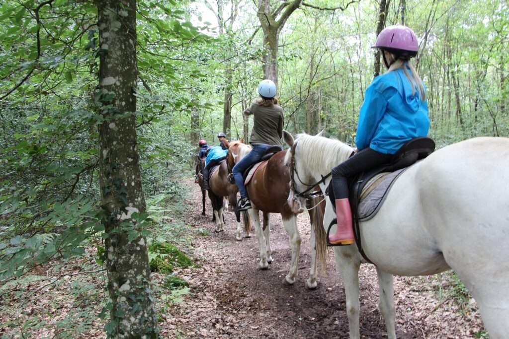 participez à une randonnée équestre solidaire à plélauff pour soutenir le téléthon. une journée conviviale alliant nature, chevaux et générosité.