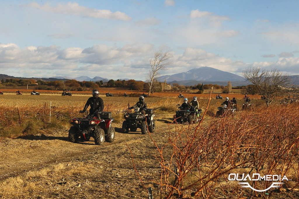 participez à une randonnée équestre à plélauff en soutien au téléthon. une journée conviviale pour allier passion du cheval et solidarité.