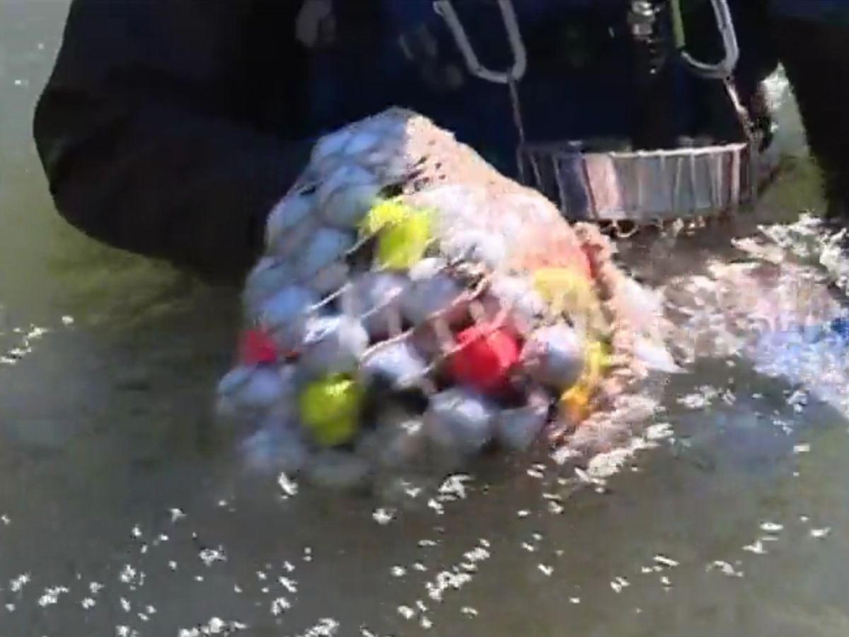 découvrez des astuces et techniques efficaces pour la récupération des balles perdues au golf, afin d'améliorer votre jeu et économiser vos ressources.