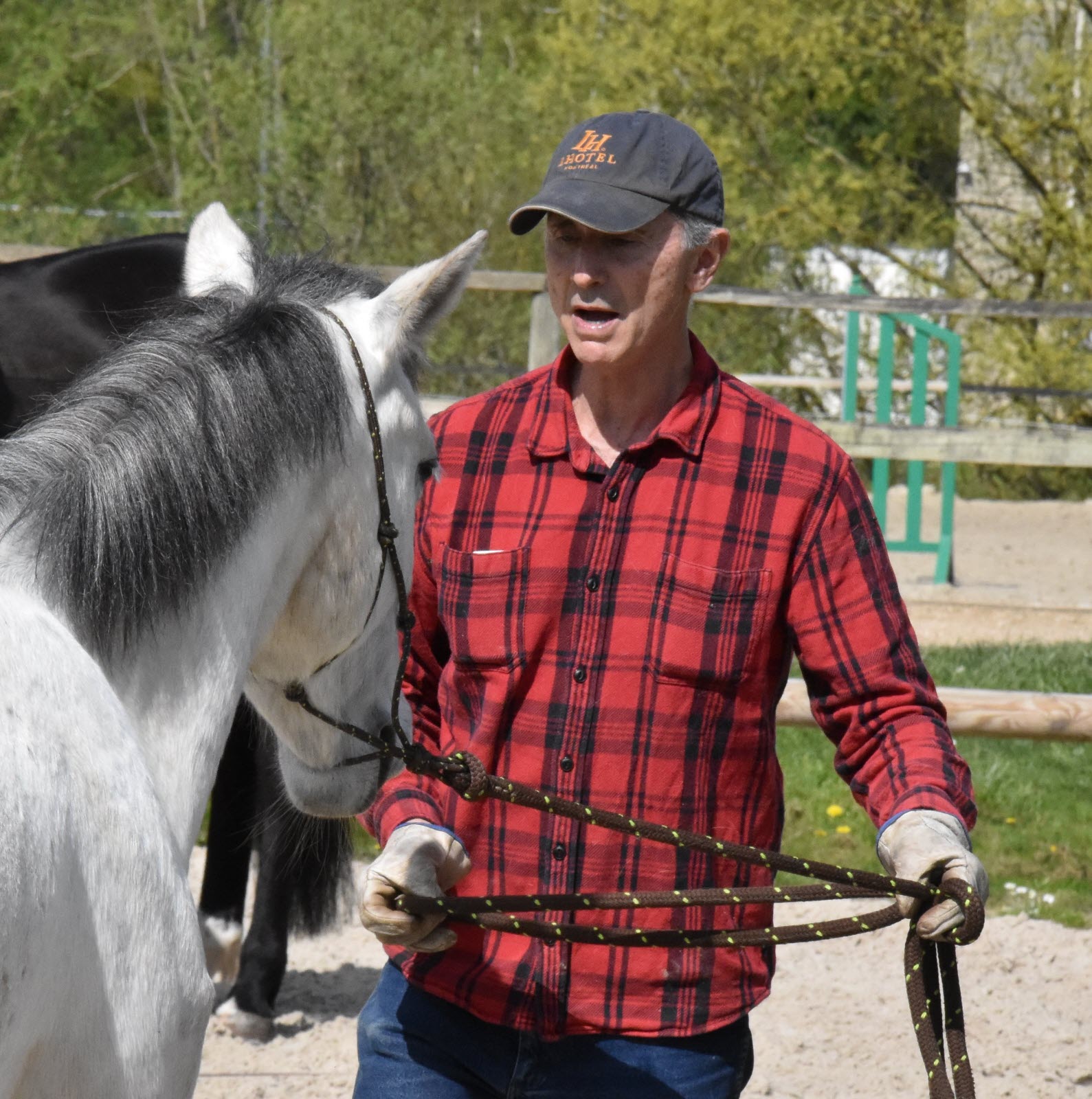 découvrez comment thierry lhermitte explore à travers les chevaux les profondeurs de notre humanité et les liens uniques qui unissent l'homme et l'animal.