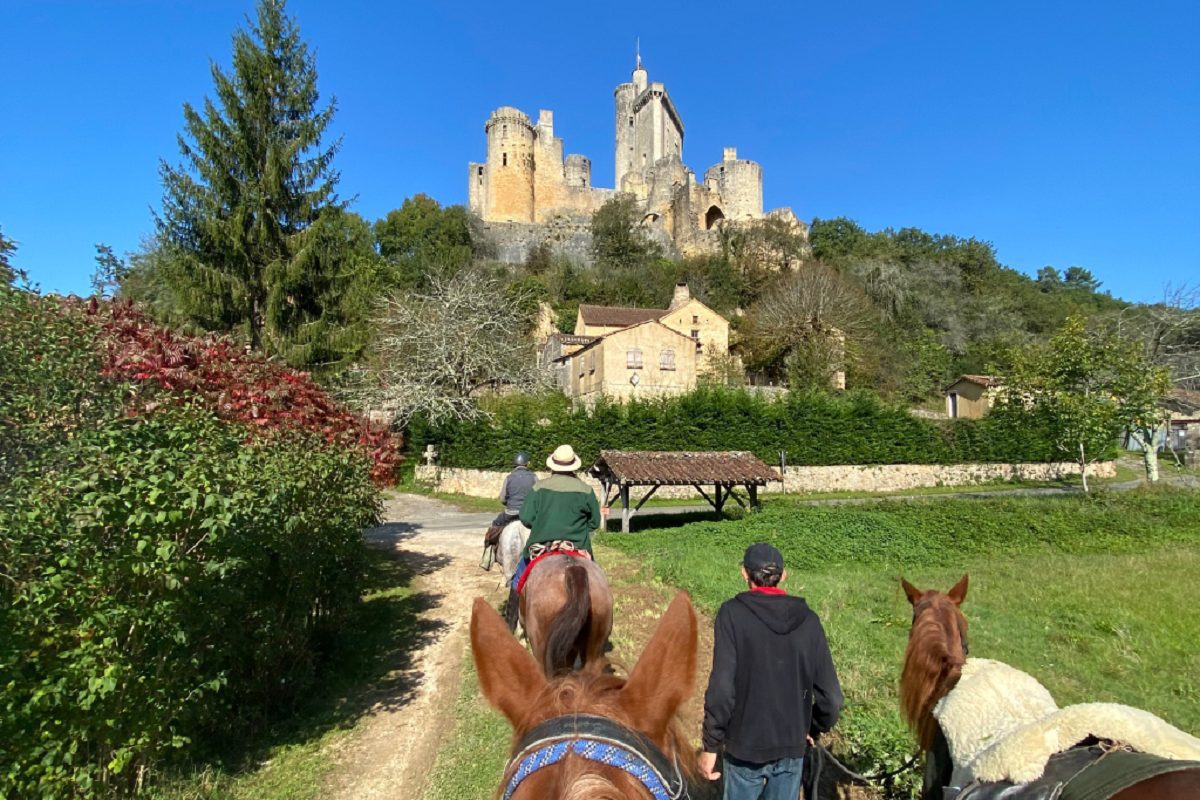 découvrez les tensions suscitées par les crottins de chevaux en moselle et les débats locaux autour de leur gestion.