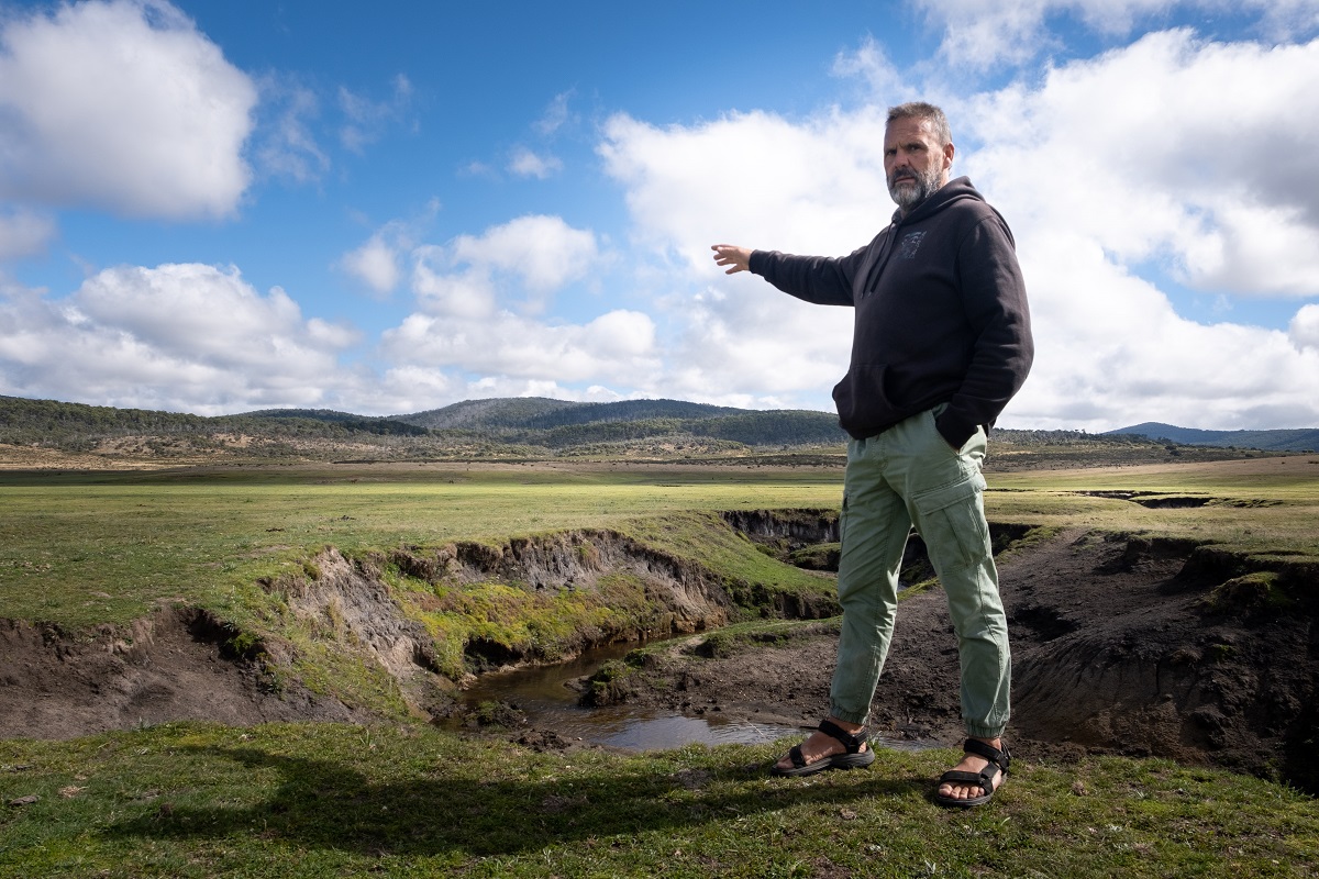 découvrez comment la nature reprend ses droits après l'abattage des chevaux à kosciuszko, révélant un paysage en pleine régénération et un écosystème en équilibre.