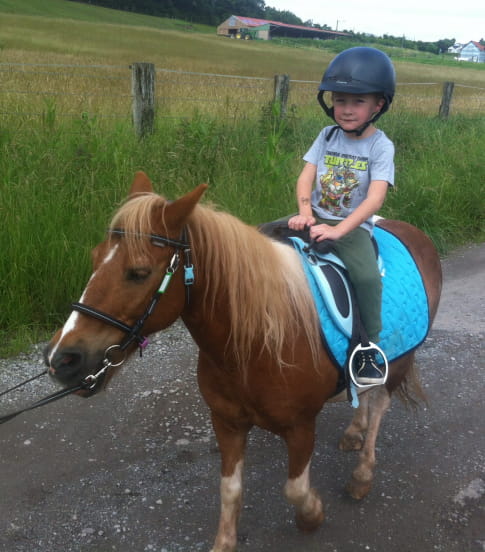 découvrez le retour tant attendu des chevaux au centre équestre de sarreguemines, un événement qui ravit les passionnés d'équitation et la communauté locale.