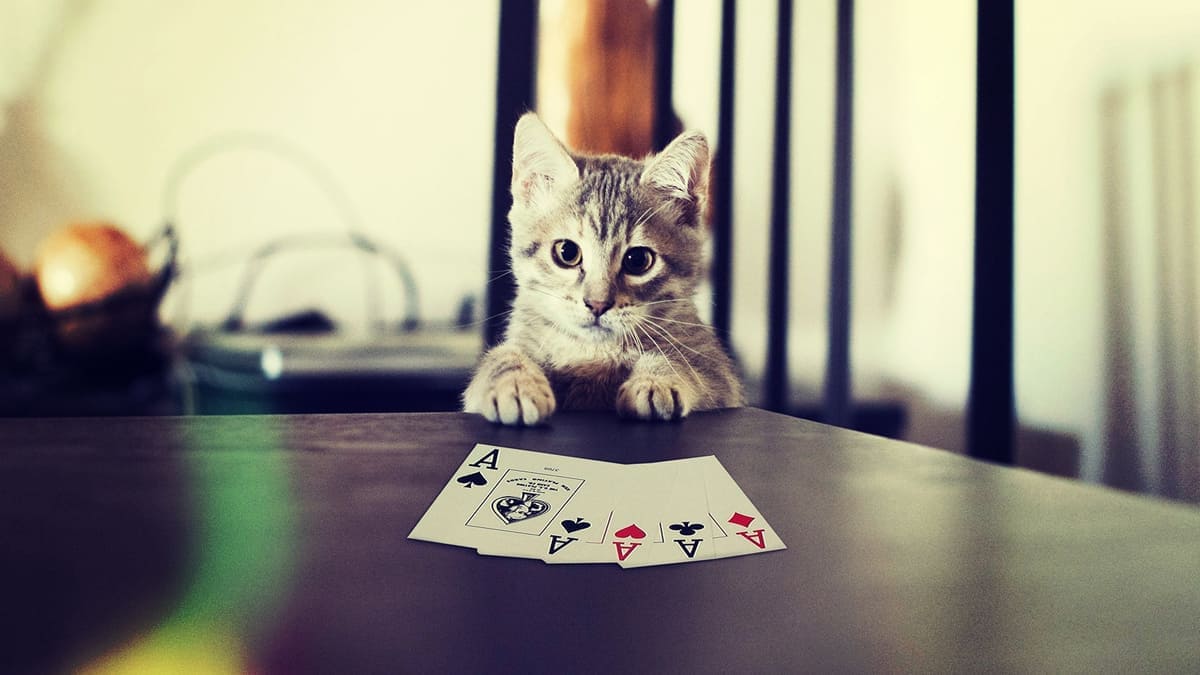 découvrez les meilleures stratégies gagnantes pour exceller au poker en ligne et augmenter vos chances de succès à chaque partie.