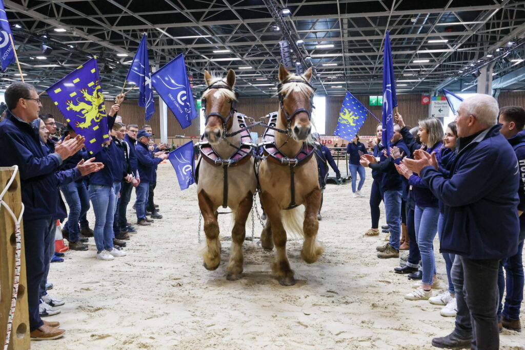 découvrez comment les chevaux comtois se distinguent et captivent les visiteurs au salon de l'agriculture 2026, mettant en lumière leur beauté et leurs qualités agricoles.