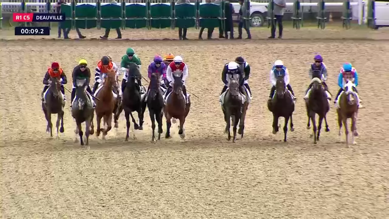 découvrez les matchs passionnants de horse ball près de deauville ce week-end. vivez une expérience sportive unique alliant équitation et esprit d'équipe dans un cadre exceptionnel.