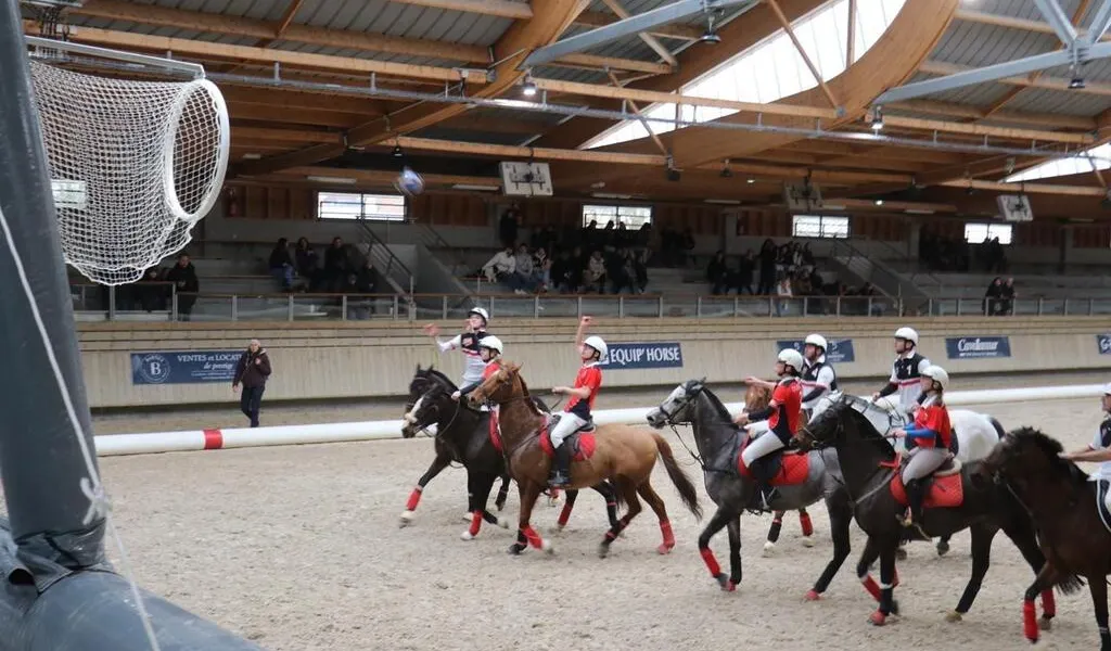 découvrez le horse ball près de deauville ce week-end, un événement sportif captivant alliant équitation et ballon. rejoignez-nous pour un moment de passion et de compétition équestre unique !
