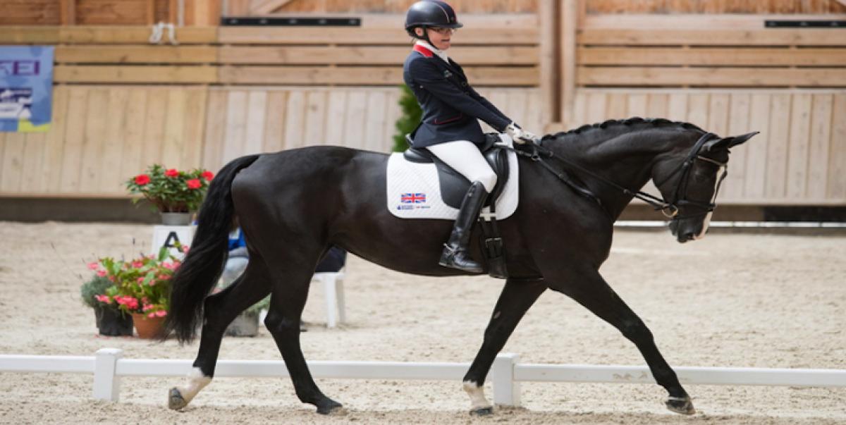 participez au tournoi de horse-ball à deauville, une compétition équestre passionnante alliant agilité et esprit d'équipe dans un cadre exceptionnel.